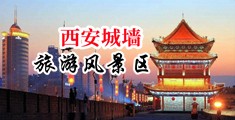 用棒用力的插入女生洞的视频中国陕西-西安城墙旅游风景区