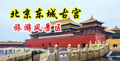 操一操肥壮美女小穴中国北京-东城古宫旅游风景区